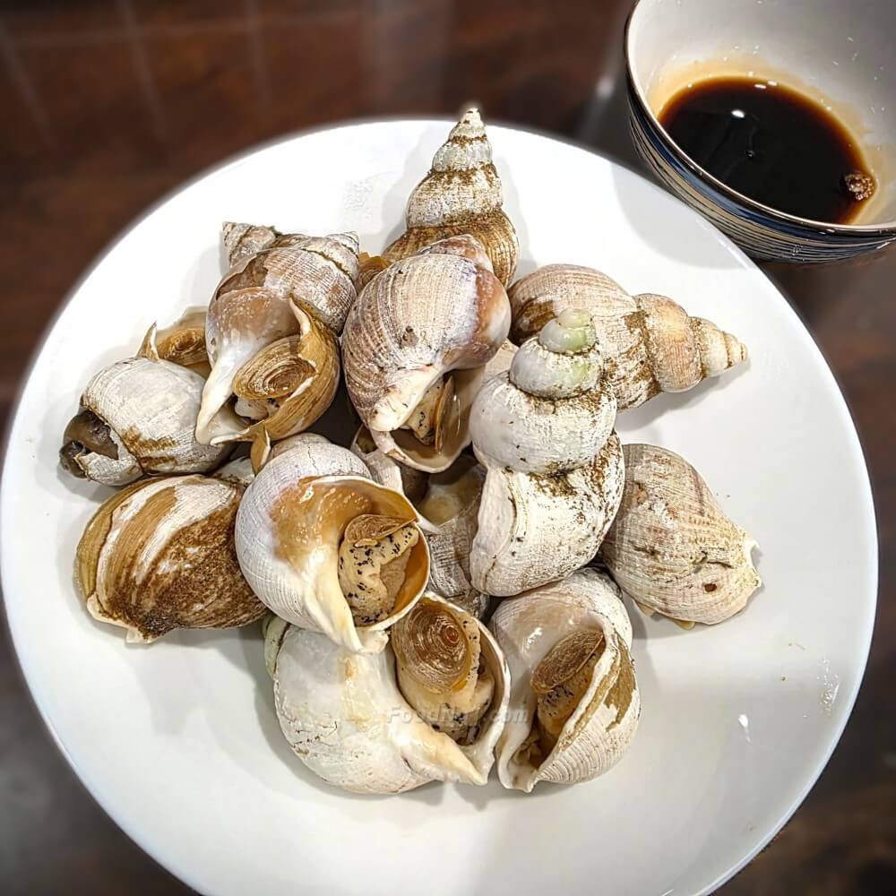 白灼翡翠螺