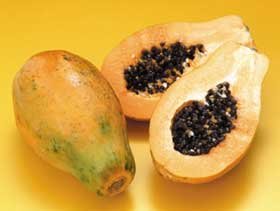 food-tt-fruit-20000119a01.jpg (7150 bytes)