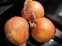 papaya nutrition_soup02