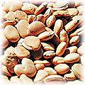 food-bean-flat.jpg (11124 bytes)