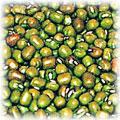 food-bean-green.jpg (10395 bytes)