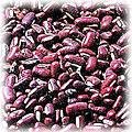 food-bean-red-phasedus.jpg (11331 bytes)