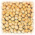 food-bean-yellow.jpg (21583 bytes)