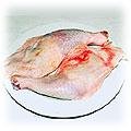 food-chicken-leg.jpg (13541 bytes)