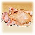 food-chicken2.jpg (13728 bytes)