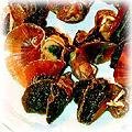 food-conch-dried.jpg (25089 bytes)