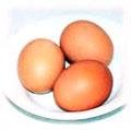 food-eggs.jpg (10293 bytes)