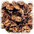 food-hawthorn.jpg (10706 bytes)