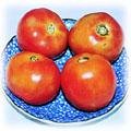 food-tomato.jpg (16352 bytes)