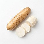 淮山 chinese-yam