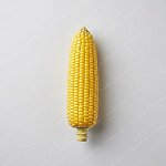 粟米芯 Corn Cob