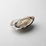 生蠔 raw oyster