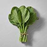 芥蘭 Chinese Kale