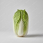 大白菜 Napa Cabbage