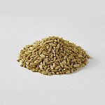 茴香籽 Fennel seeds