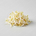 芽菜 Bean sprouts