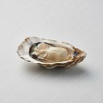 熟蠔 cooked oyster