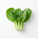 青江菜 baby-bok-choy