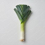 大葱 Leek
