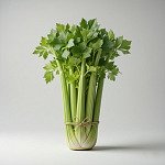 西芹 Celery
