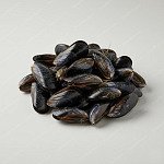 黑青口 black mussel