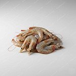白蝦 white shrimp