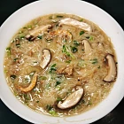 urc2024071507 tinified