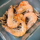 urc2024050705 tinified