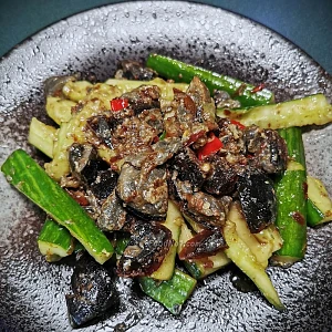 urc2024072201 tinified