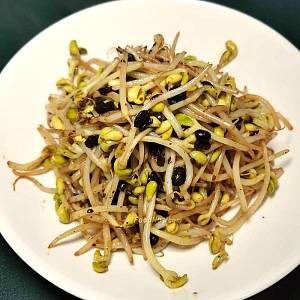 urc2024091001 tinified