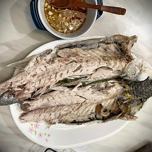 蒸澳洲烏頭魚